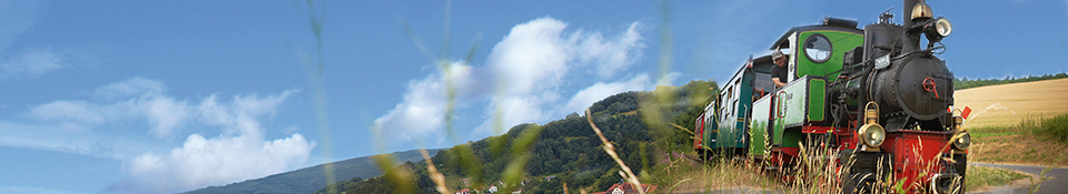 Bild vom Zug